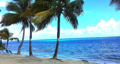 Nuestro Starfish Palace - condominio en planta baja de Sugar Beach- Donde los deseos se hacen realidad