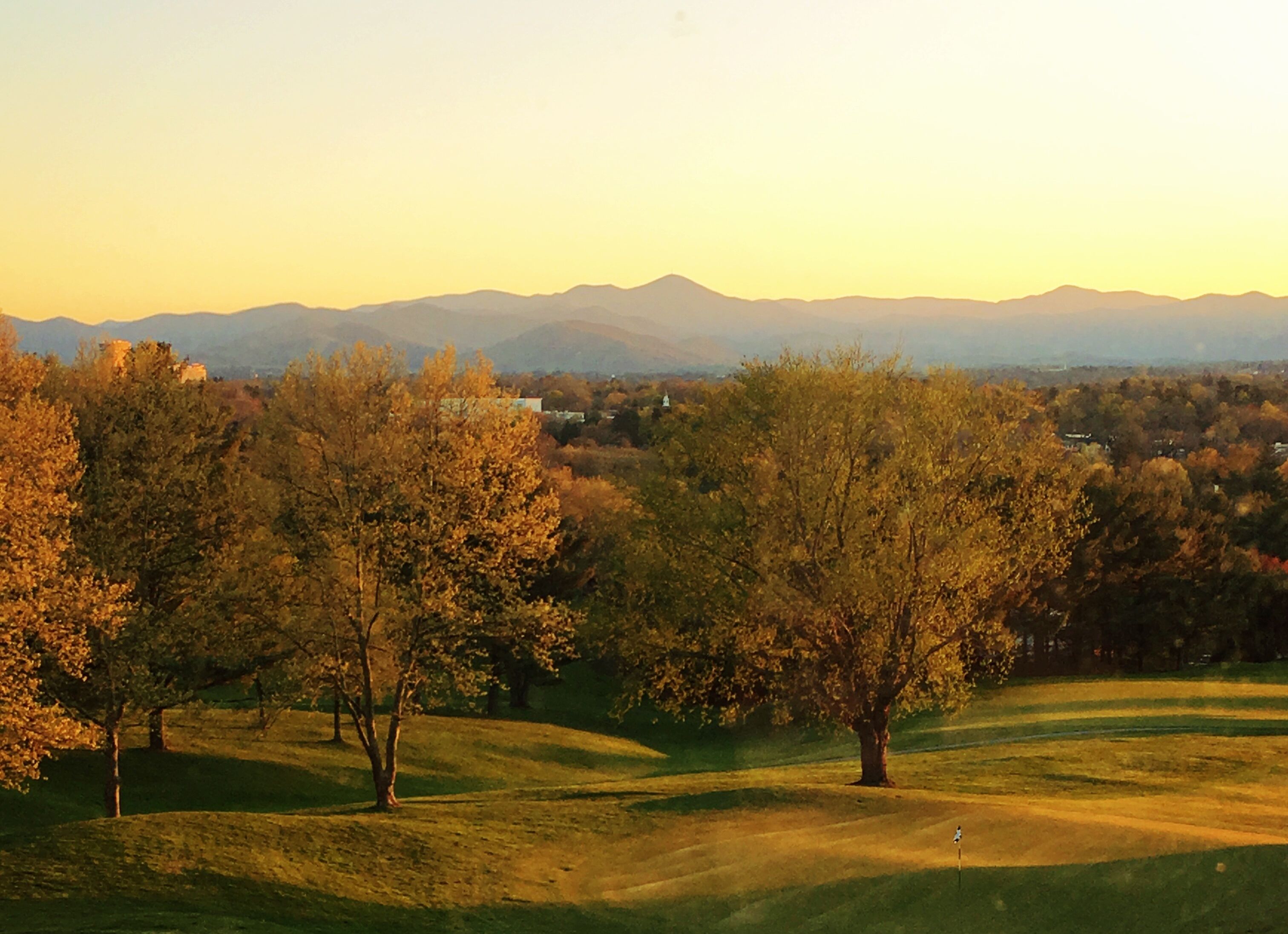 Ein Golfplatz mit Bäumen und Bergen in der Ferne.