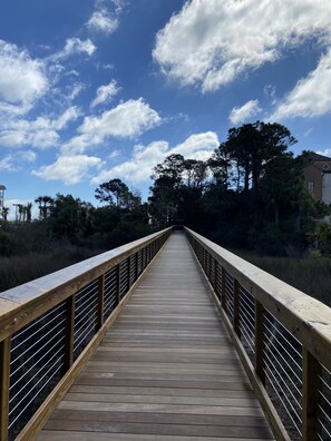 Miscellaneous - Summer discounts! Book now! Beautiful pool/patio. Short walk to beach! (Hilton Head Island)