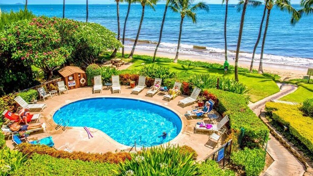 A circular pool with lounge chairs and a small building, surrounded by palm trees and a view of the ocean. - Kealia 506 Oceanview Beachfront Resort Great Winter Whale Watching! (Kihei)