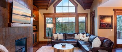 TV, fireplace, DVD player