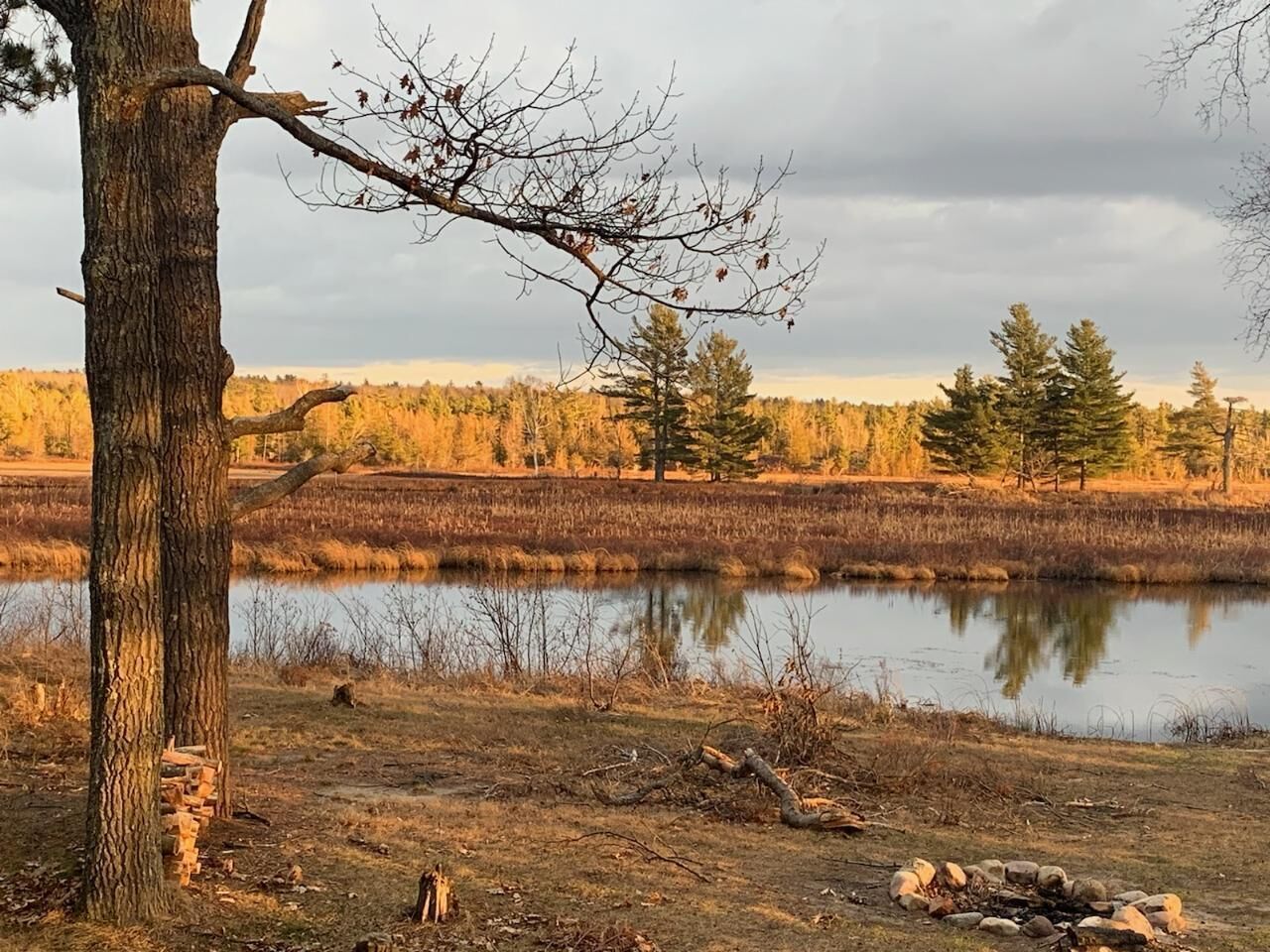 Un paysage naturel comprenant une étendue d’eau, des arbres et un ciel dégagé.