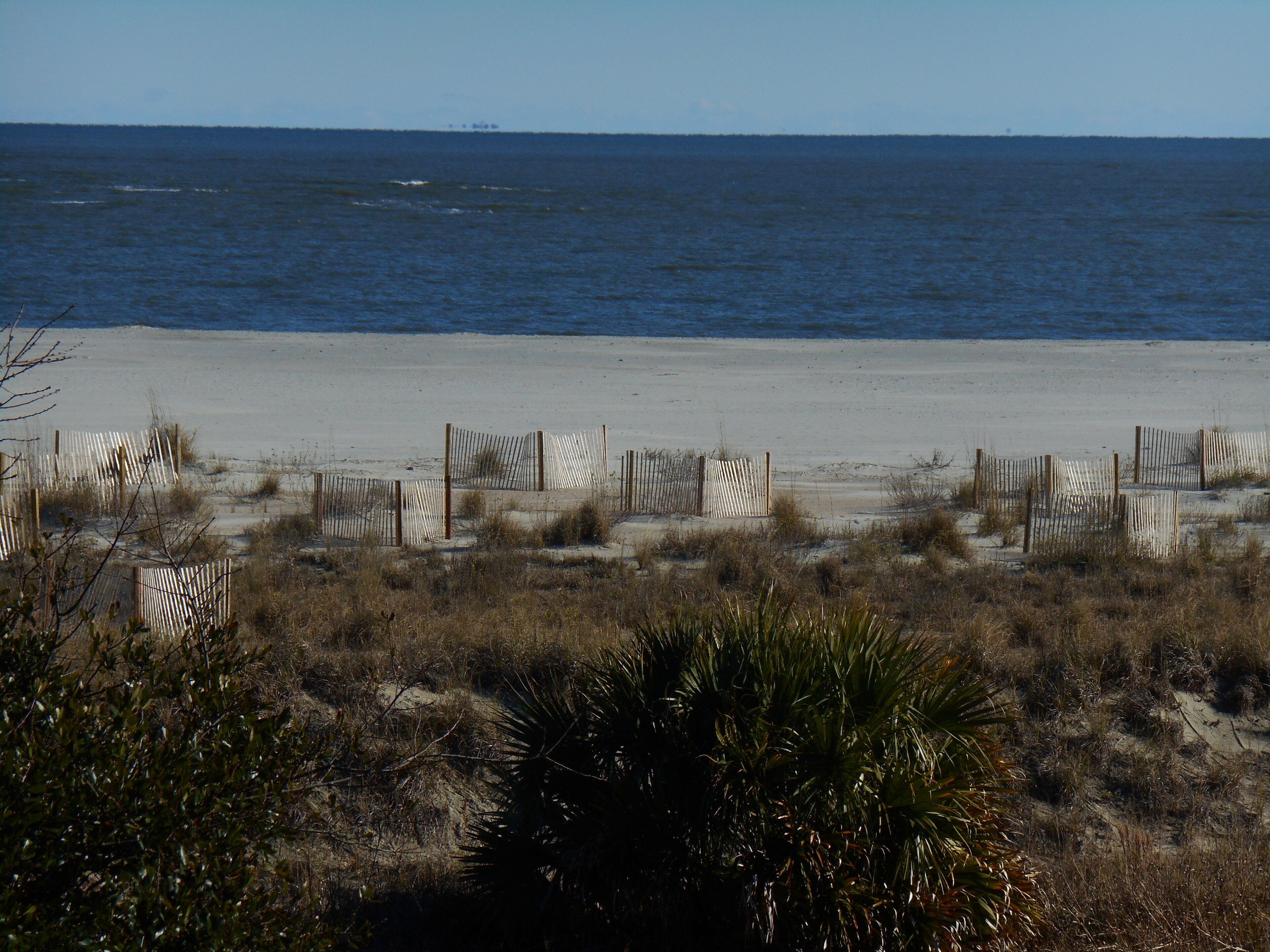 SPECIAL RATES - SPRING SEASON and SPRING BREAK