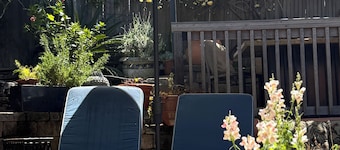Ocean View Laguna Beach Cottage, Private Garden 600 Feet to Thousand Steps Beach
