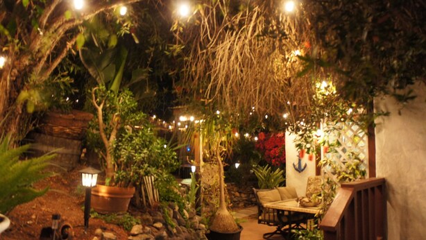 An indoor garden with potted plants, a wooden bench, and string lights.