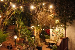 An indoor garden with potted plants, a wooden bench, and string lights.