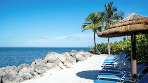 A beach with a row of blue lounge chairs, a thatched umbrella, and palm trees. - 406 Mariners Club - 3 bedroom elegant tri-level townhome with views of the ocean (Tavernier)
