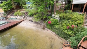 A garden with a pond, wooden deck, and various plants.