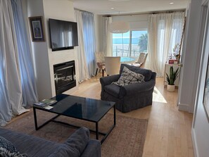 Smart TV, fireplace, books