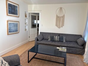 Smart TV, fireplace, books