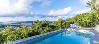 Cowries - Hamilton Island