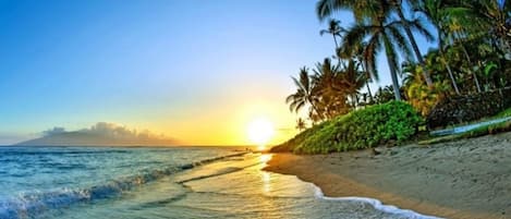 Plage, chaises longues, serviettes de plage