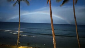A beach scene with palm trees and the ocean. - Spectacular OCEANFRONT! 2BR/2BA Papakea L-305. June 14 - 18th 250/nt (Kaanapali)