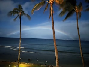 A beach scene with palm trees and the ocean.