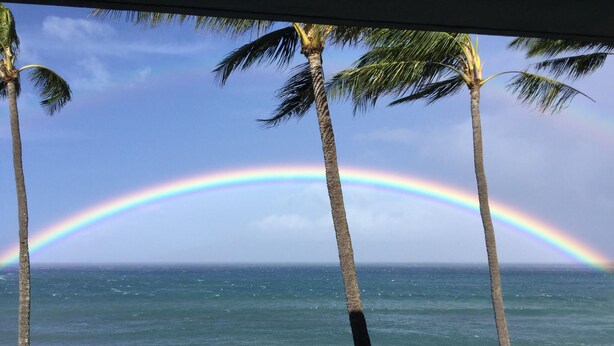 A view of the ocean with palm trees and a rainbow. - Spectacular OCEANFRONT! 2BR/2BA Papakea L-305. June 14 - 18th 250/nt (Kaanapali)
