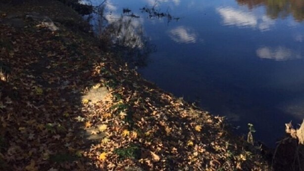 Ein stiller See, umgeben von Bäumen mit Herbstlaub, der Himmel und Bäume darin spiegelt.