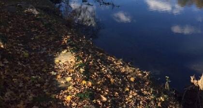 Pine Cone - kodikas ja täydellinen pariskunnille ~ Sisältää kajakkeja!