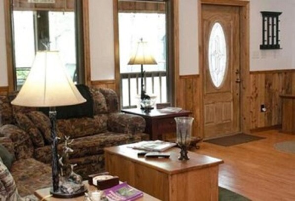 Télévision, cheminée, lecteur de DVD, livres