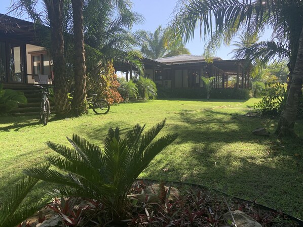 A well-maintained garden with a lawn, palm trees, and a bicycle.