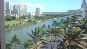 Um rio com palmeiras e edifícios ao fundo.