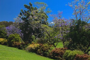 Stroll through the serene garden, surrounded by lush trees and vibrant flowering trees.