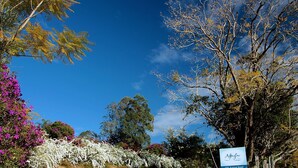 Une enseigne indiquant « Afterglow », située au 259, Kalang Road, entourée d’une végétation luxuriante et de plantes en fleurs.