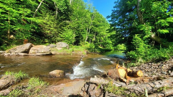 Un cours d’eau naturel, bordé de rochers et de végétation.