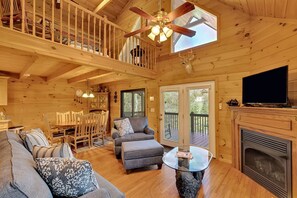 Tv, eldstad, dvd-spelare och ett filmbibliotek