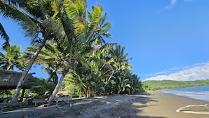 Une plage bordée de palmiers et surmontée d’une structure à toit de chaume.
