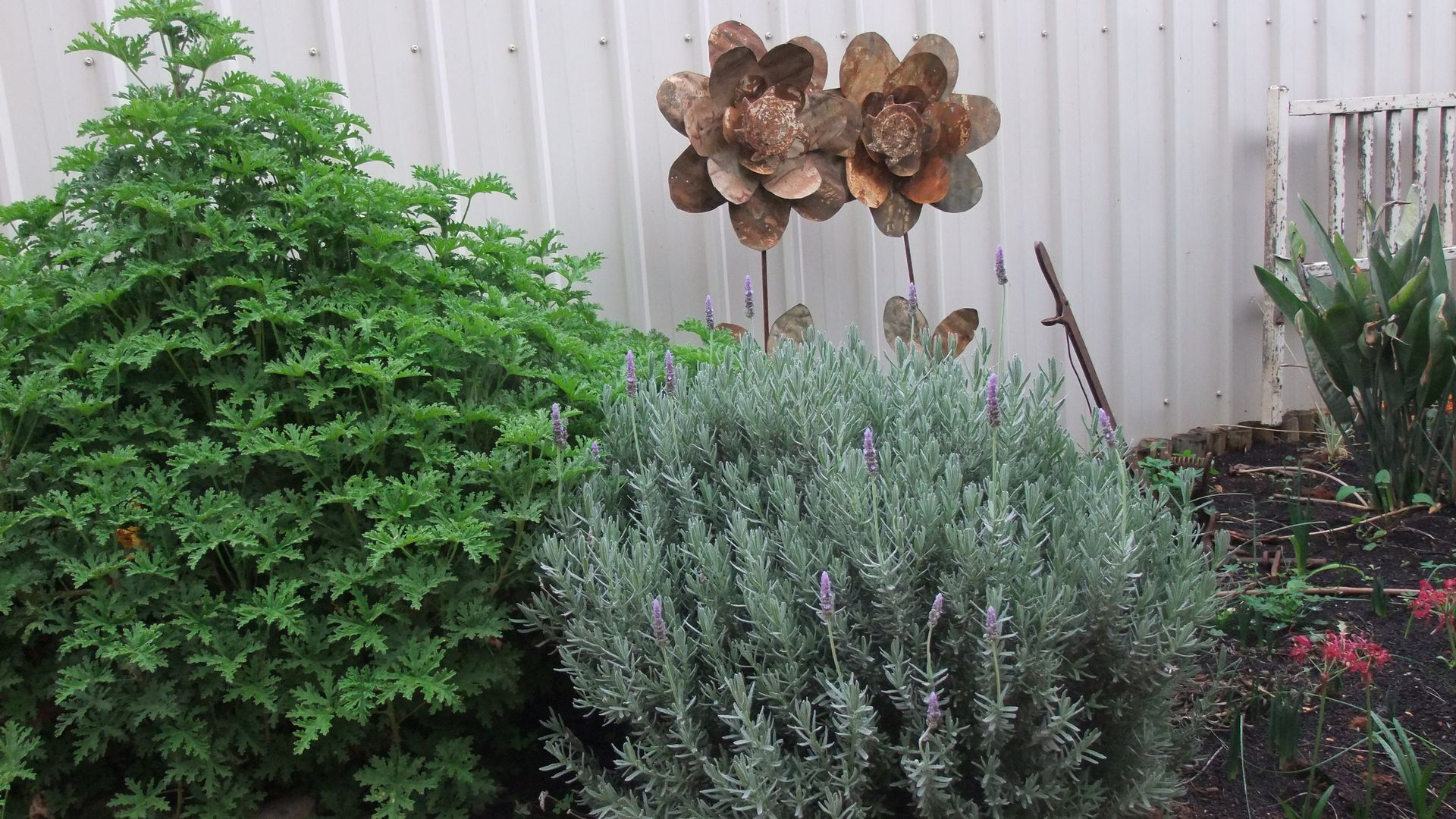 Cosy Crossfield Cottage Bed & Breakfast — image 22