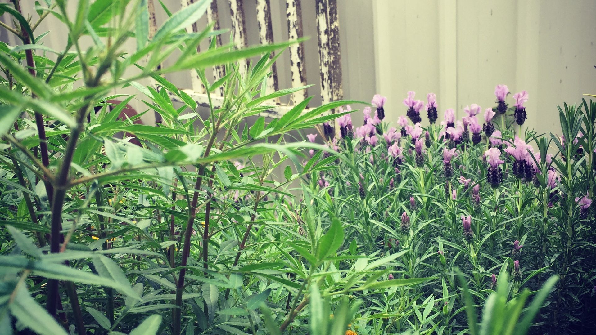 Cosy Crossfield Cottage Bed & Breakfast — image 24