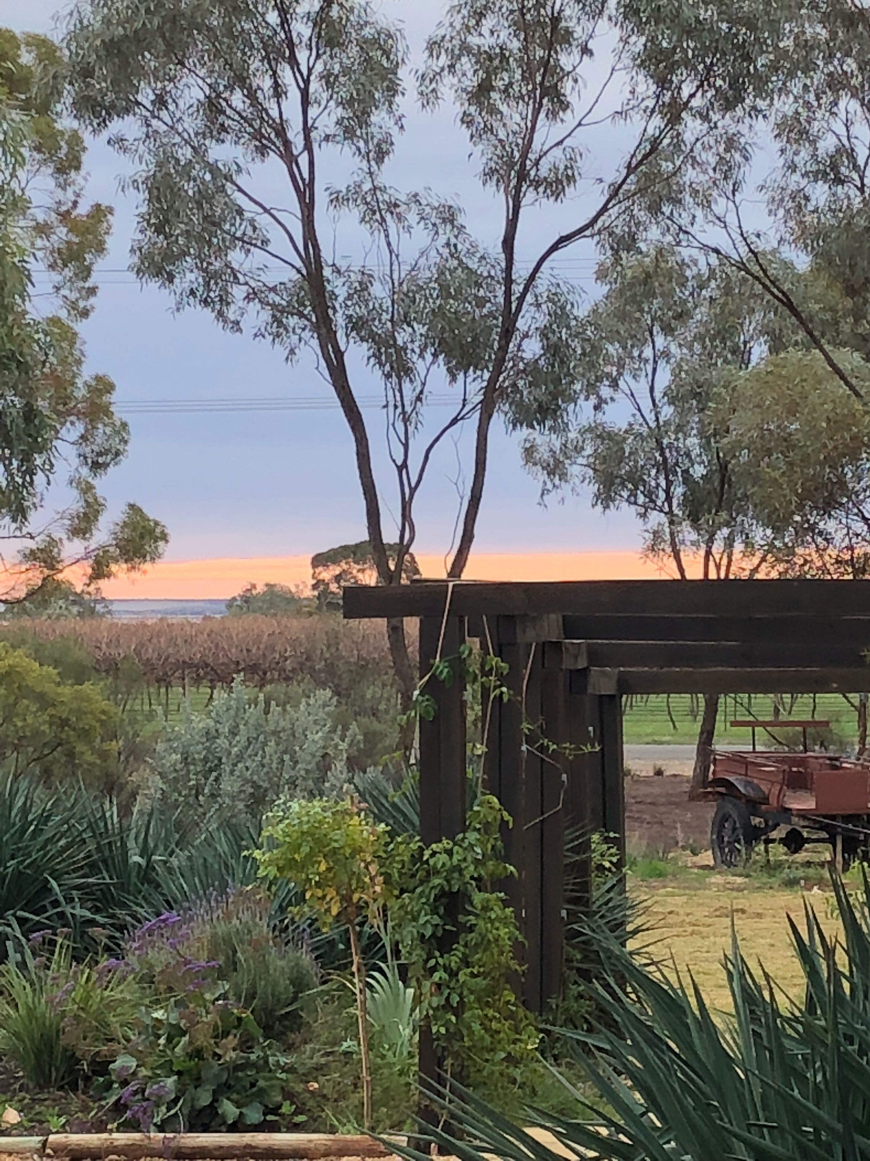 Cosy Crossfield Cottage Bed & Breakfast — image 5