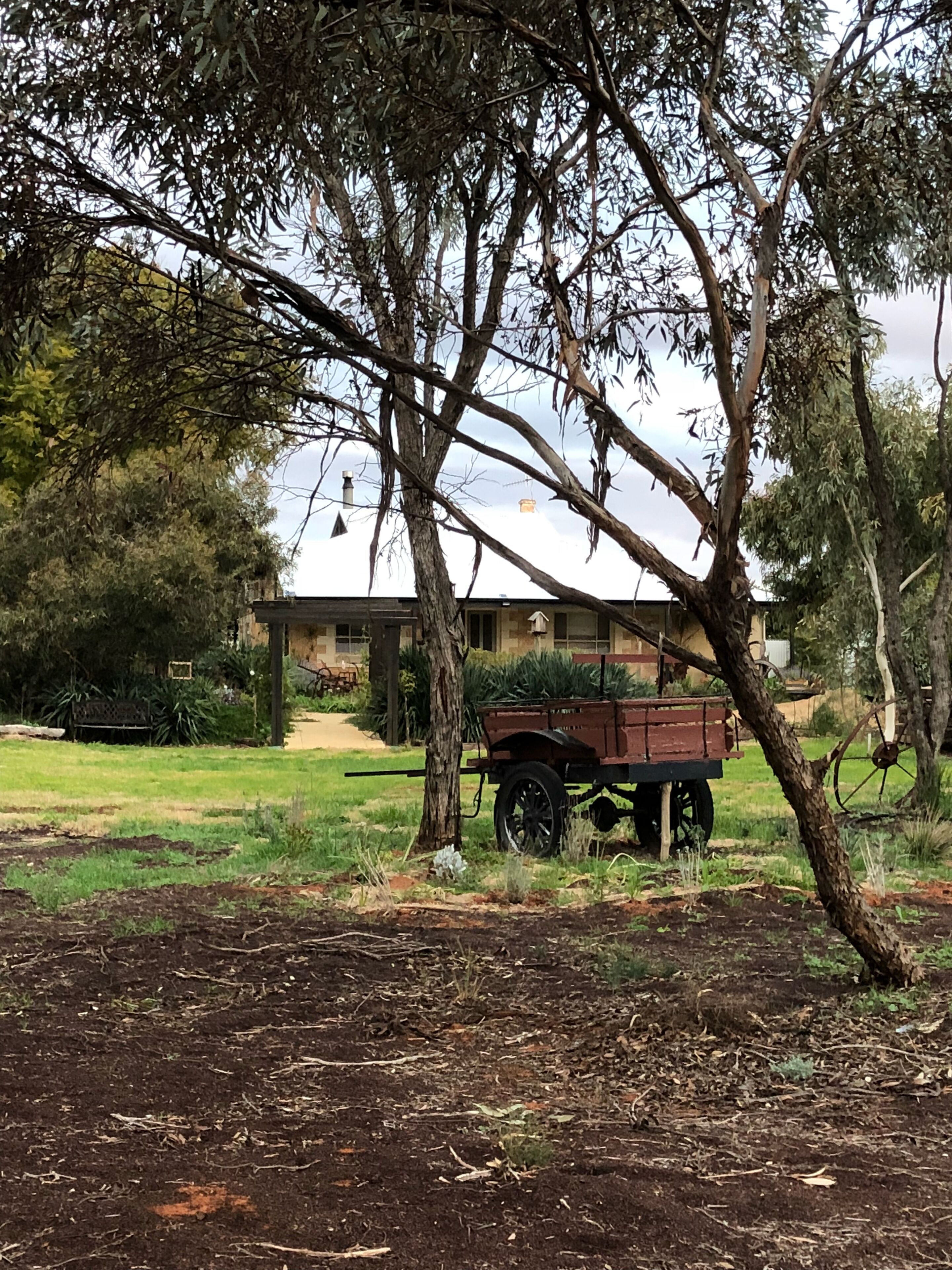 Cosy Crossfield Cottage Bed & Breakfast — image 25