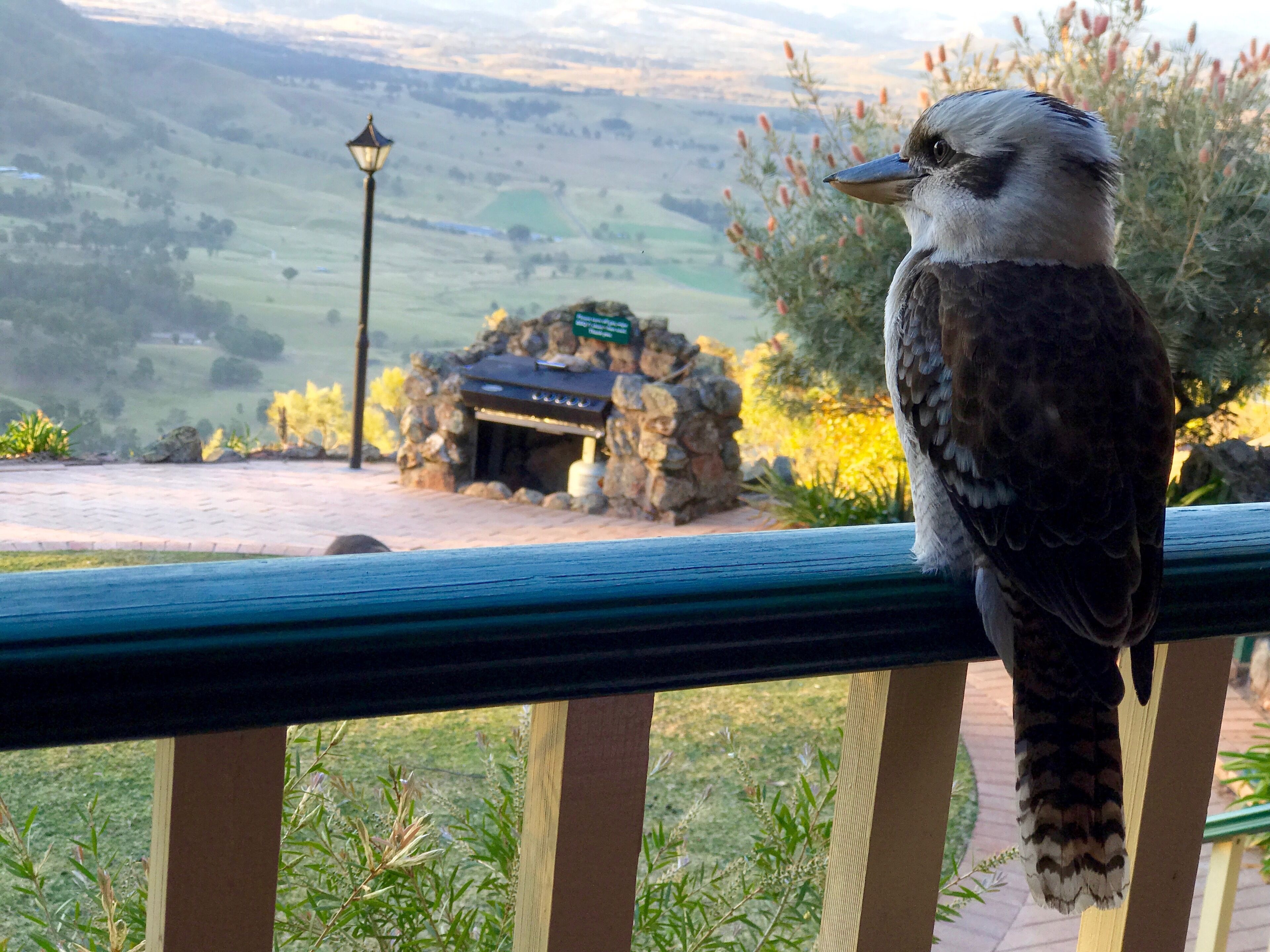 Rocky Mountain Spa Lodge — image 3