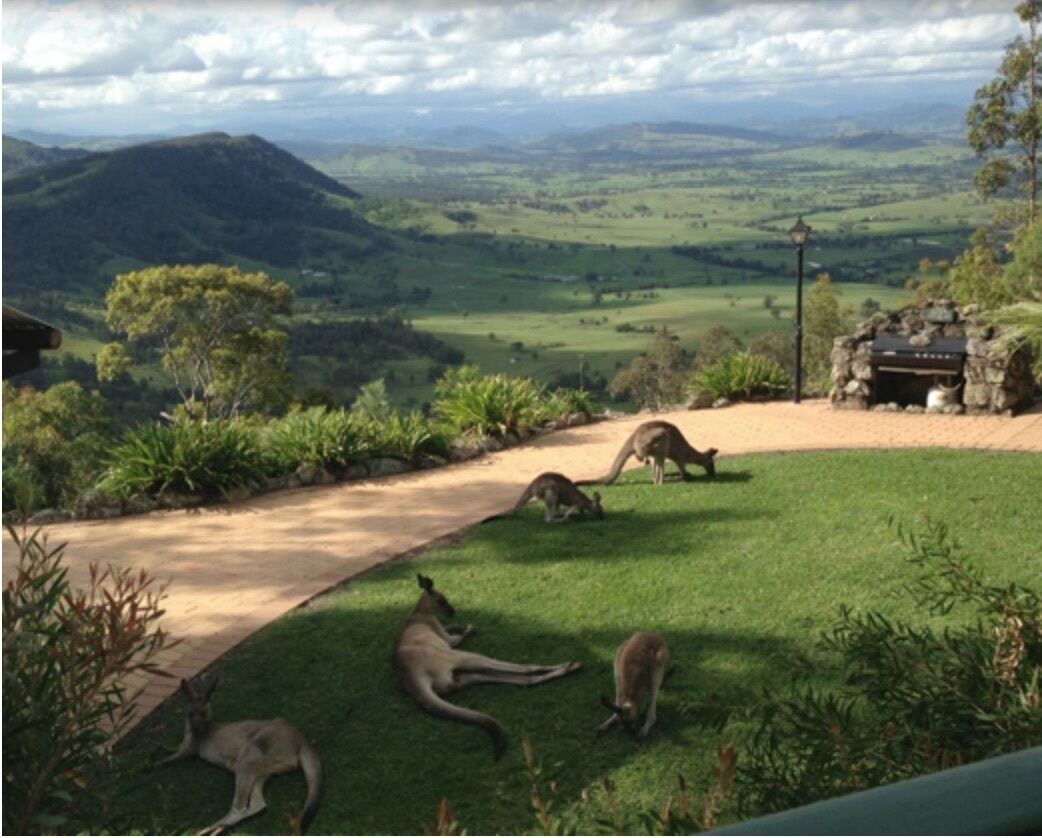 Rocky Mountain Spa Lodge — image 15