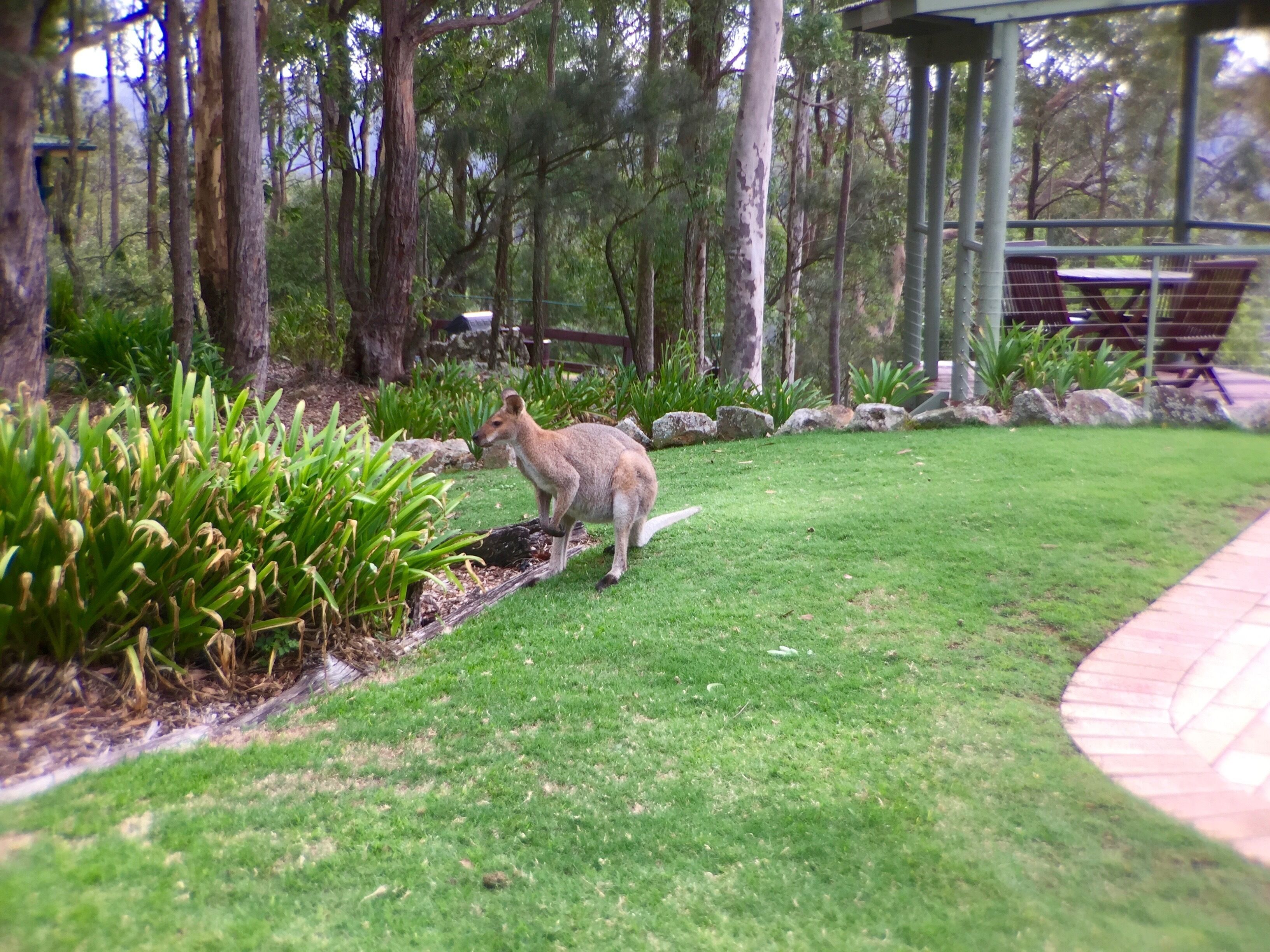 Rocky Mountain Spa Lodge — image 11