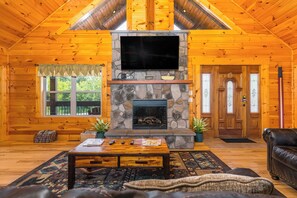 Smart TV, fireplace, DVD player, books