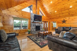 Téléviseur connecté, foyer, lecteur de DVD, livres