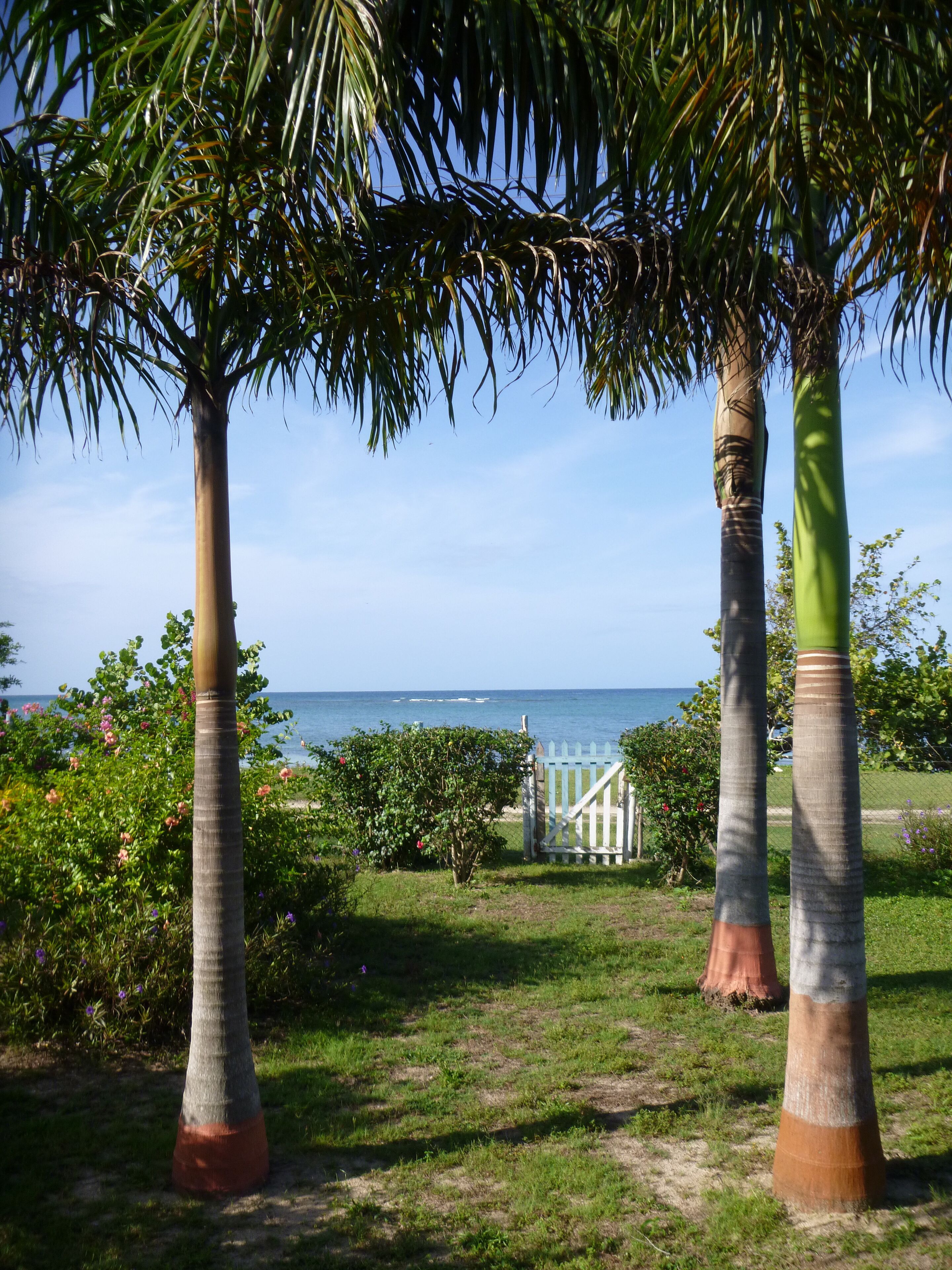 Front looking at Ocean
