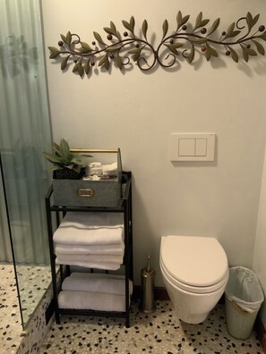 Shower, hair dryer, towels, shampoo