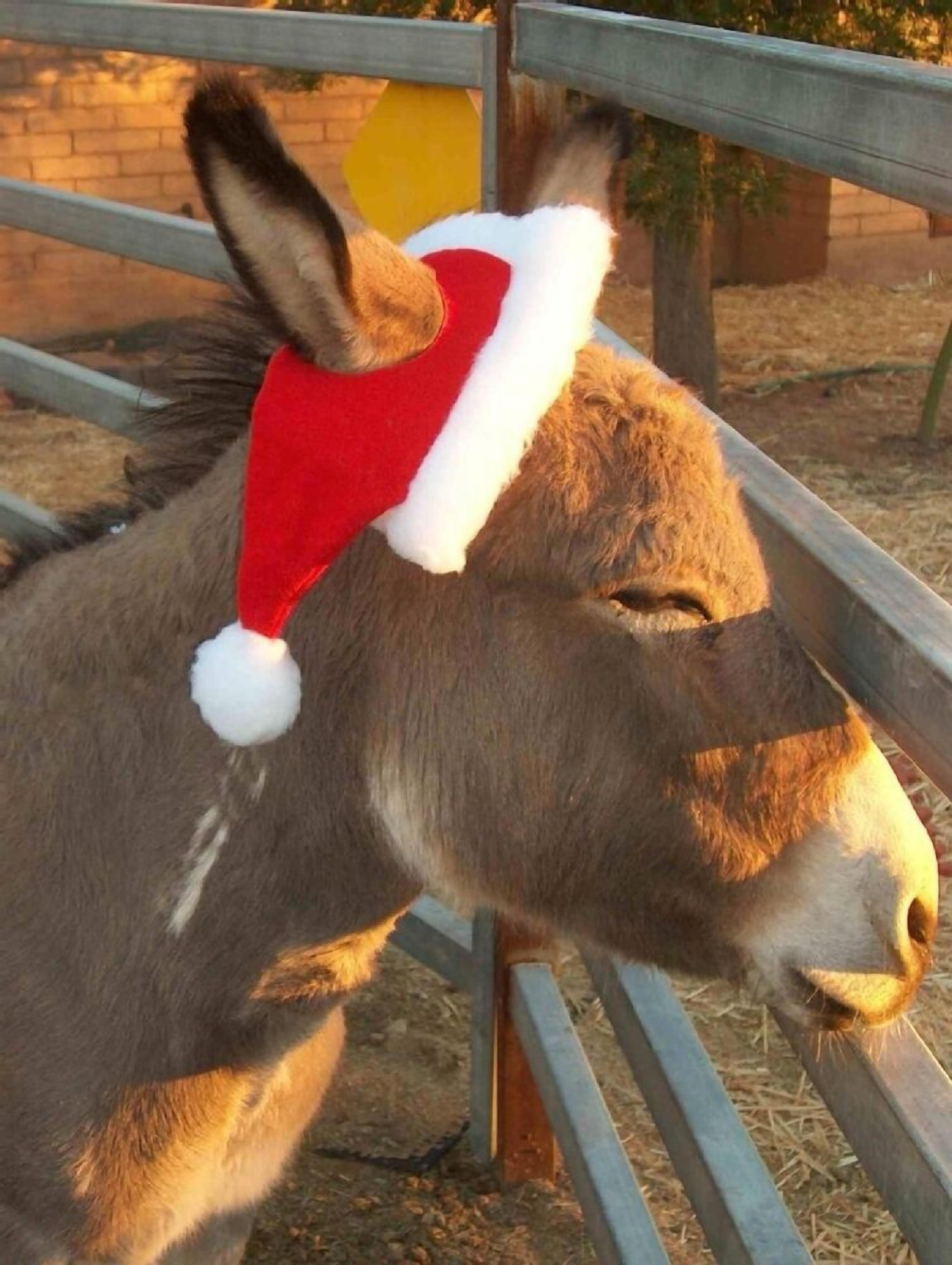 Northeast Tucson 2 bedroom-2 Bath-Pool-Oasis Paradise