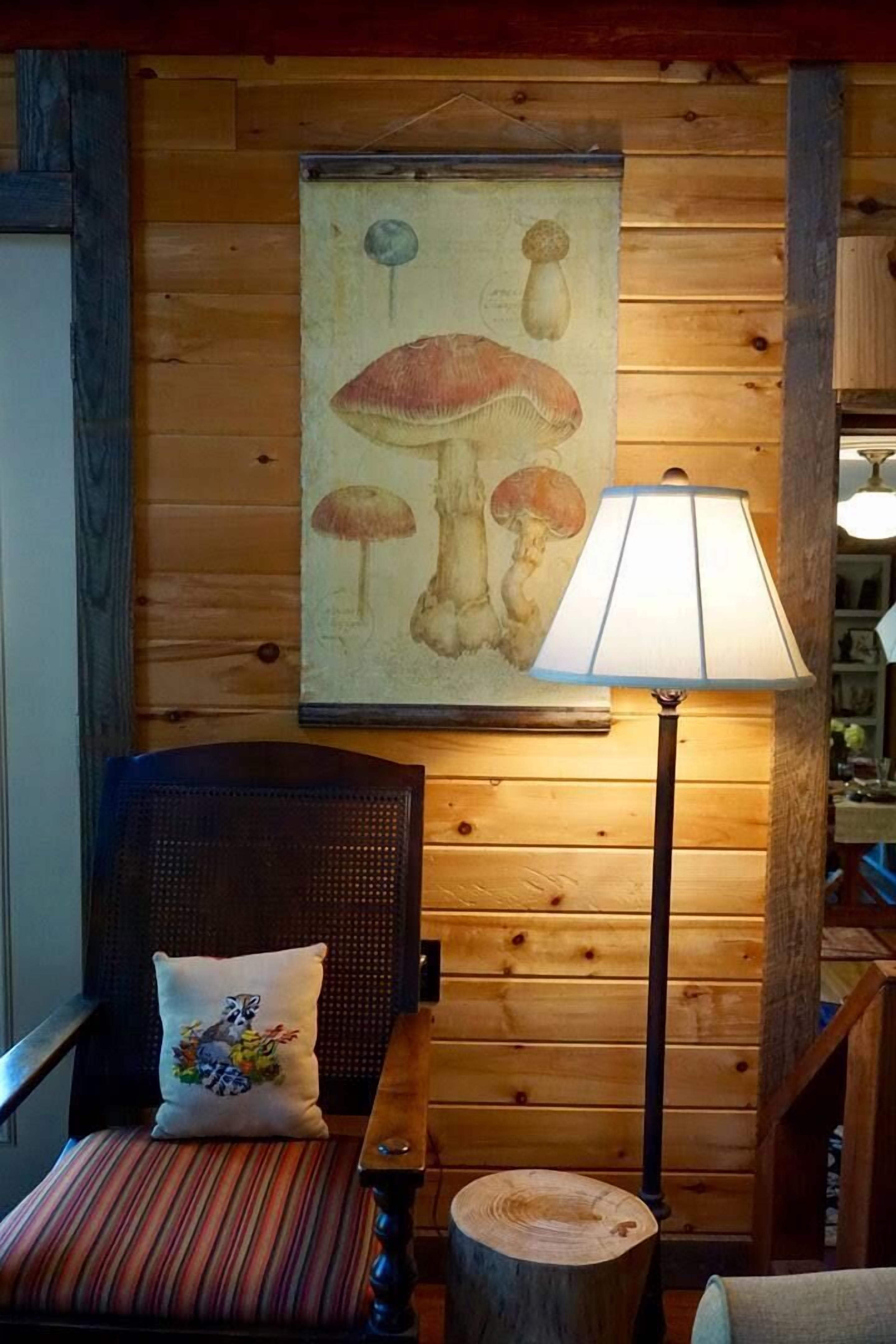 Birdsong, Blue Ridge Retreat. Quiet cabin on the river. 6 miles from Blue Ridge