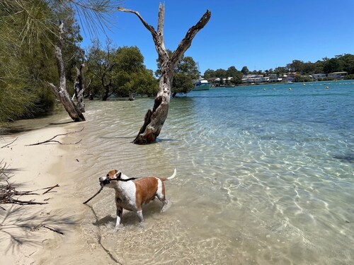 The Jetty House Jervis Bay
