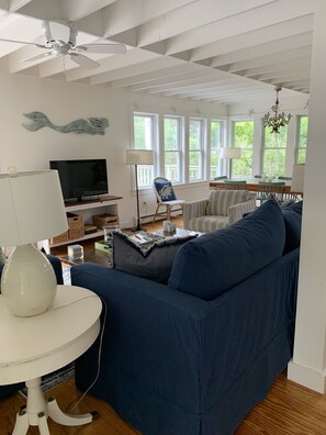 Smart TV, DVD player, books, video library