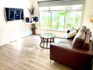 Flat-screen TV, fireplace, DVD player, books