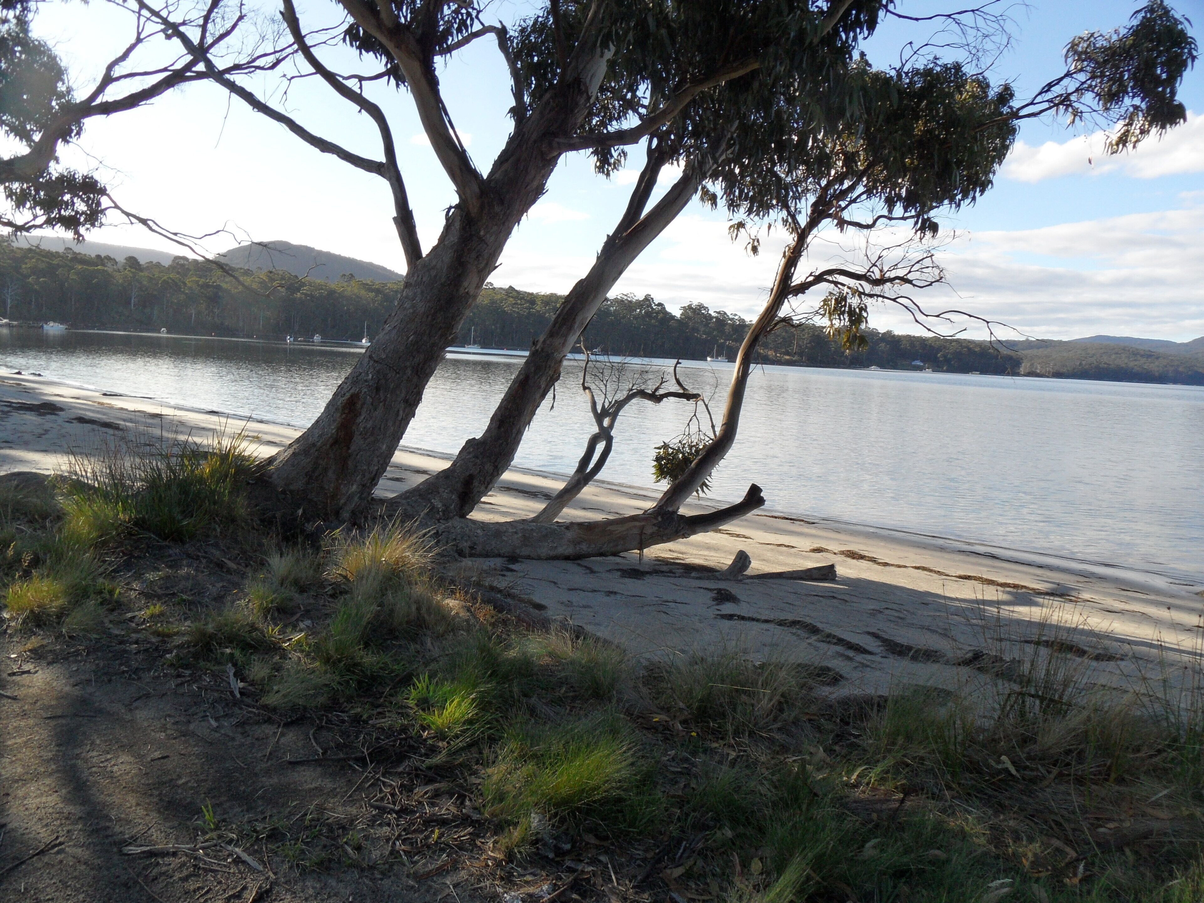 Carnarvon Bay Beach House — image 6