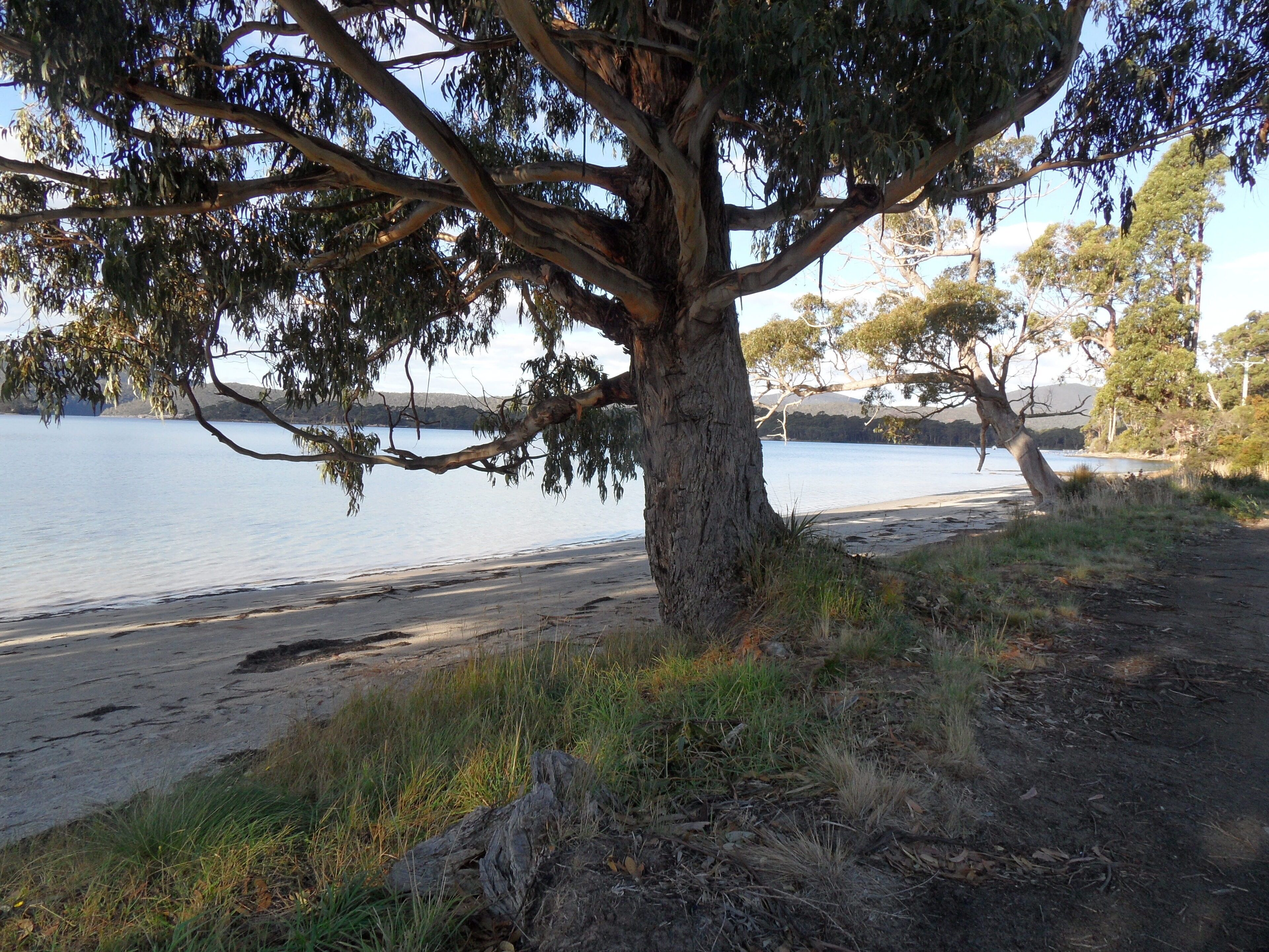 Carnarvon Bay Beach House — image 27