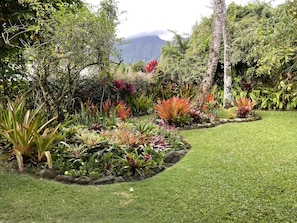 Stroll through a serene garden surrounded by lush plants and a neatly trimmed lawn, with a mountain view in the distance.