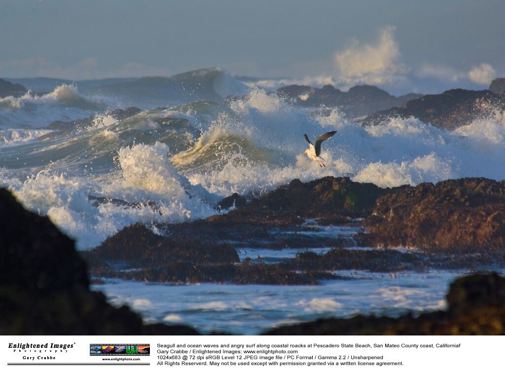 A seagull flying over a rocky coastline with waves crashing against the rocks.