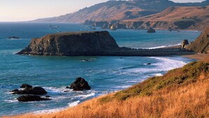 A coastal landscape with a prominent cliff, ocean, and distant hills. - Bird Watch @ Land's End with Amazing Views of the Harbor and Pacific Ocean (Bodega Bay)